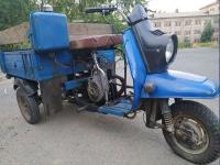 Муравей без документов